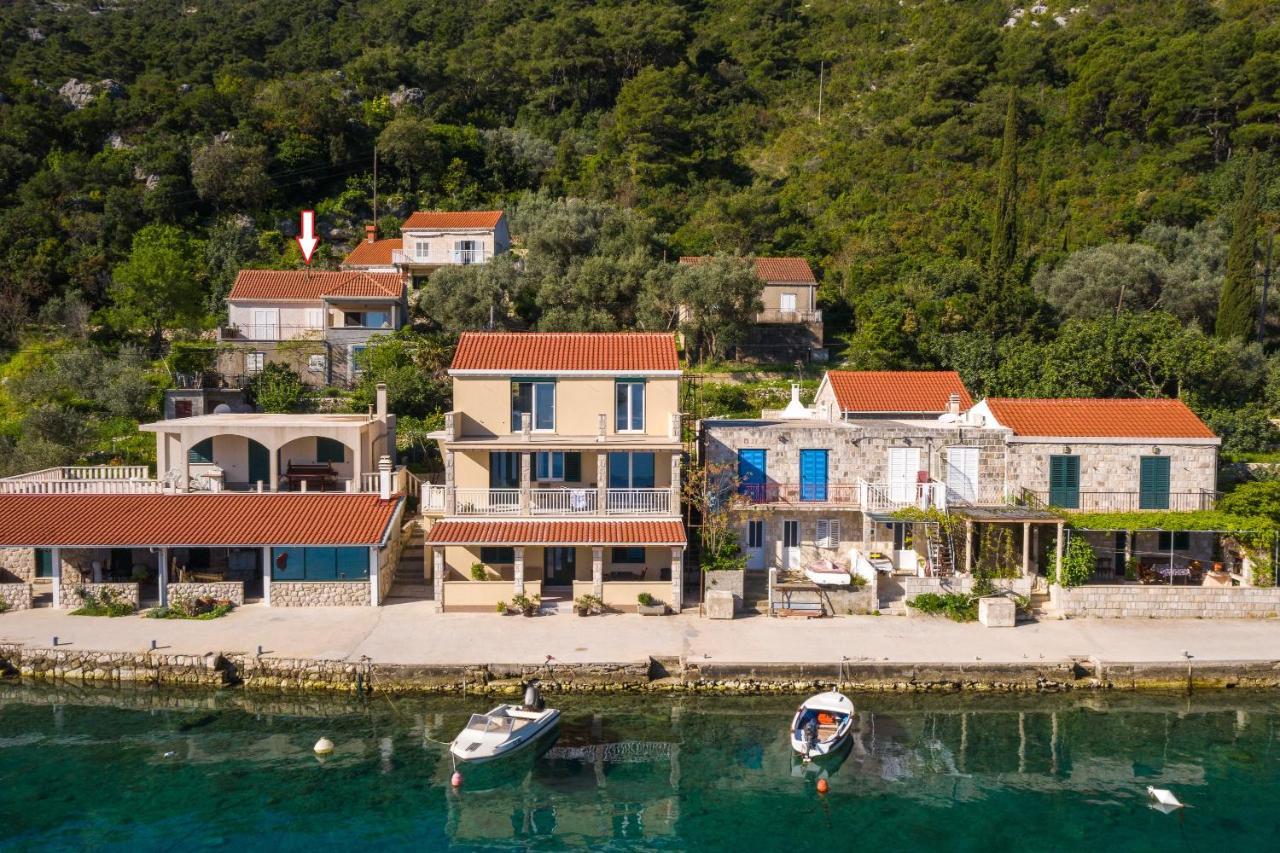 Spacious Apartment Lucia Prožura Εξωτερικό φωτογραφία