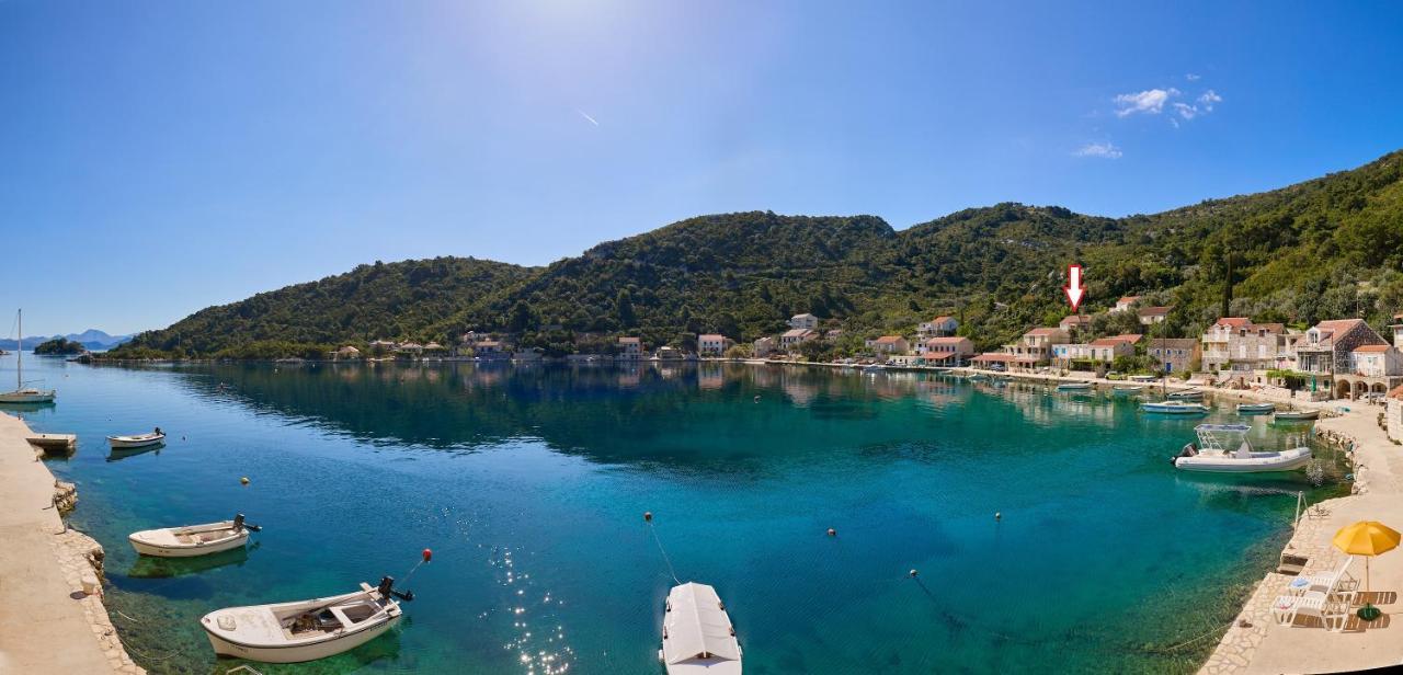 Spacious Apartment Lucia Prožura Εξωτερικό φωτογραφία