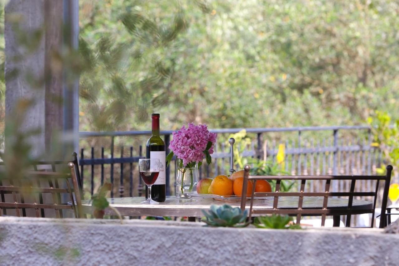 Spacious Apartment Lucia Prožura Εξωτερικό φωτογραφία